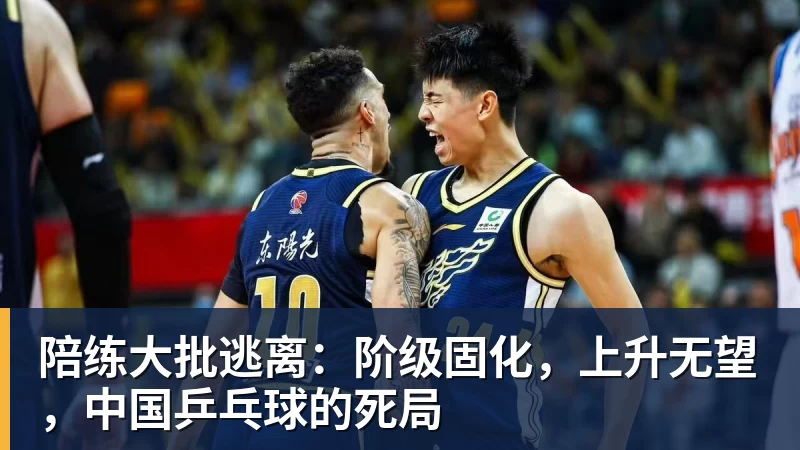 陪练大批逃离：阶级固化，上升无望，中国乒乓球的死局